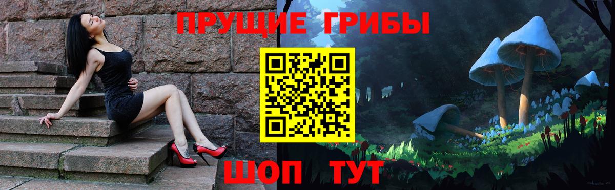 Псилоцибиновые грибы GOLDEN TEACHER  Галлюциногенные грибы MAGIC MUSHROOMS  Сибай  Вход с VPN 
