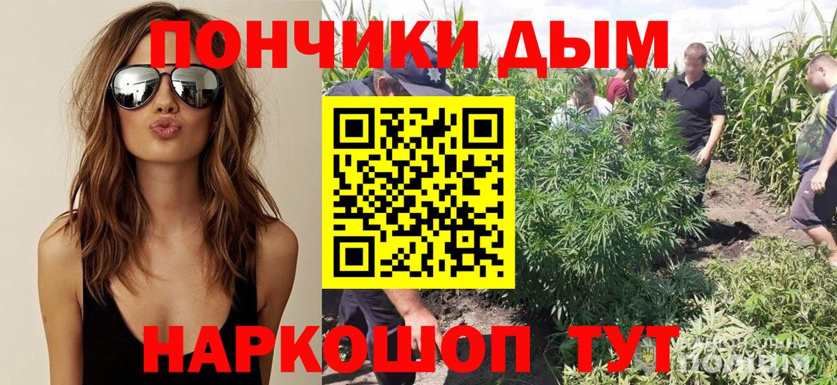 Каннабис SATIVA & INDICA Сибай